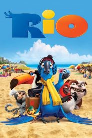 Rio 1 (2011) izle