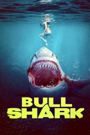 Bull Shark izle