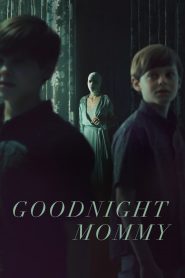 Goodnight Mommy Türkçe Dublaj izle