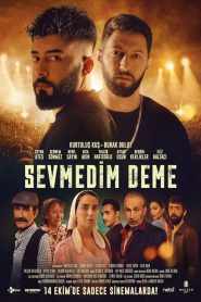 Sevmedim Deme (2022) izle