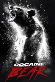 Çıldırmış Ayı – Cocaine Bear Türkçe dublaj izle