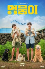 My Heart Puppy Türkçe Dublaj izle