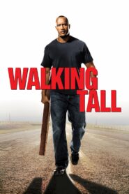 Yolun sonu Türkçe Dublaj izle