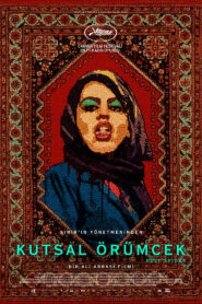 Kutsal Örümcek Türkçe Dublaj izle