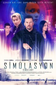 Simülasyon Türkçe Dublaj izle