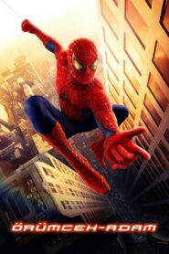 Örümcek Adam 2002 Türkçe Dublaj izle