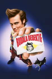 Budala Dedektif Türkçe Dublaj izle
